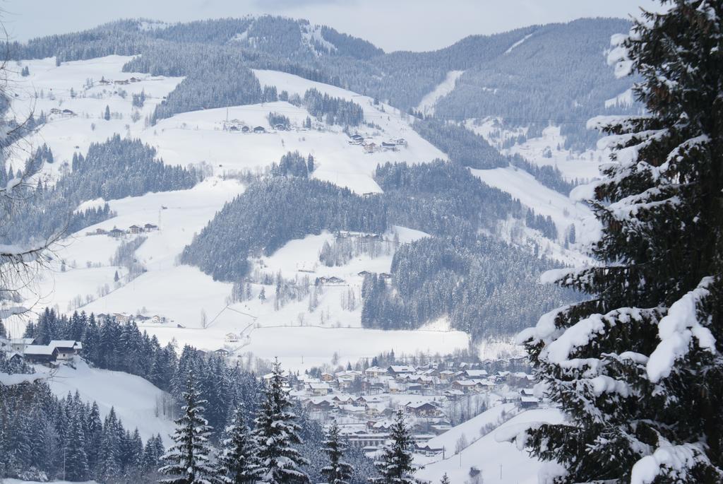 Pension Chalet Bergseegut Ваграйн Экстерьер фото