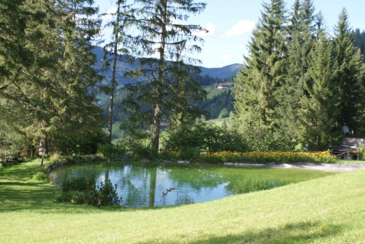 Pension Chalet Bergseegut Ваграйн Экстерьер фото