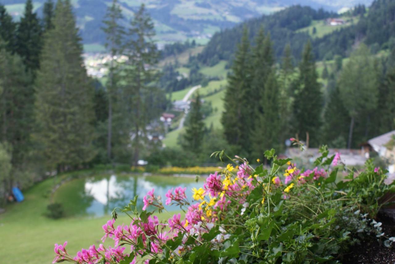 Pension Chalet Bergseegut Ваграйн Экстерьер фото