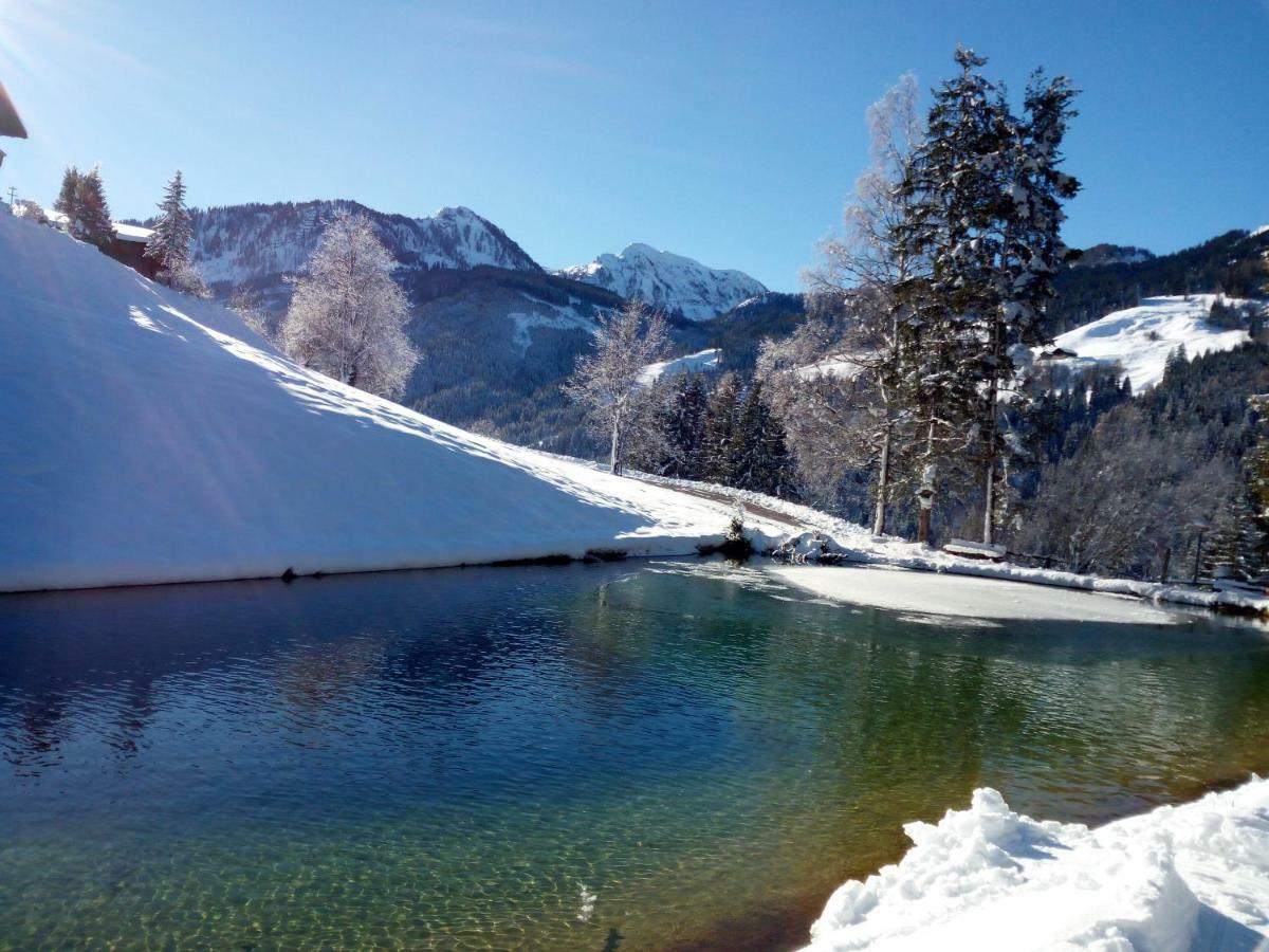 Pension Chalet Bergseegut Ваграйн Экстерьер фото